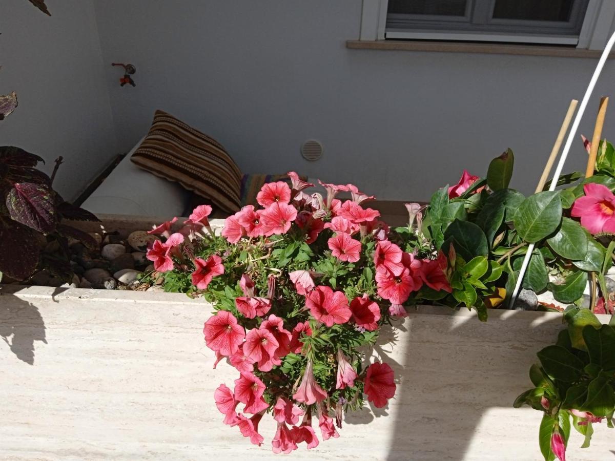 La Casa Di Elena Apartment Sannicandro di Bari ภายนอก รูปภาพ