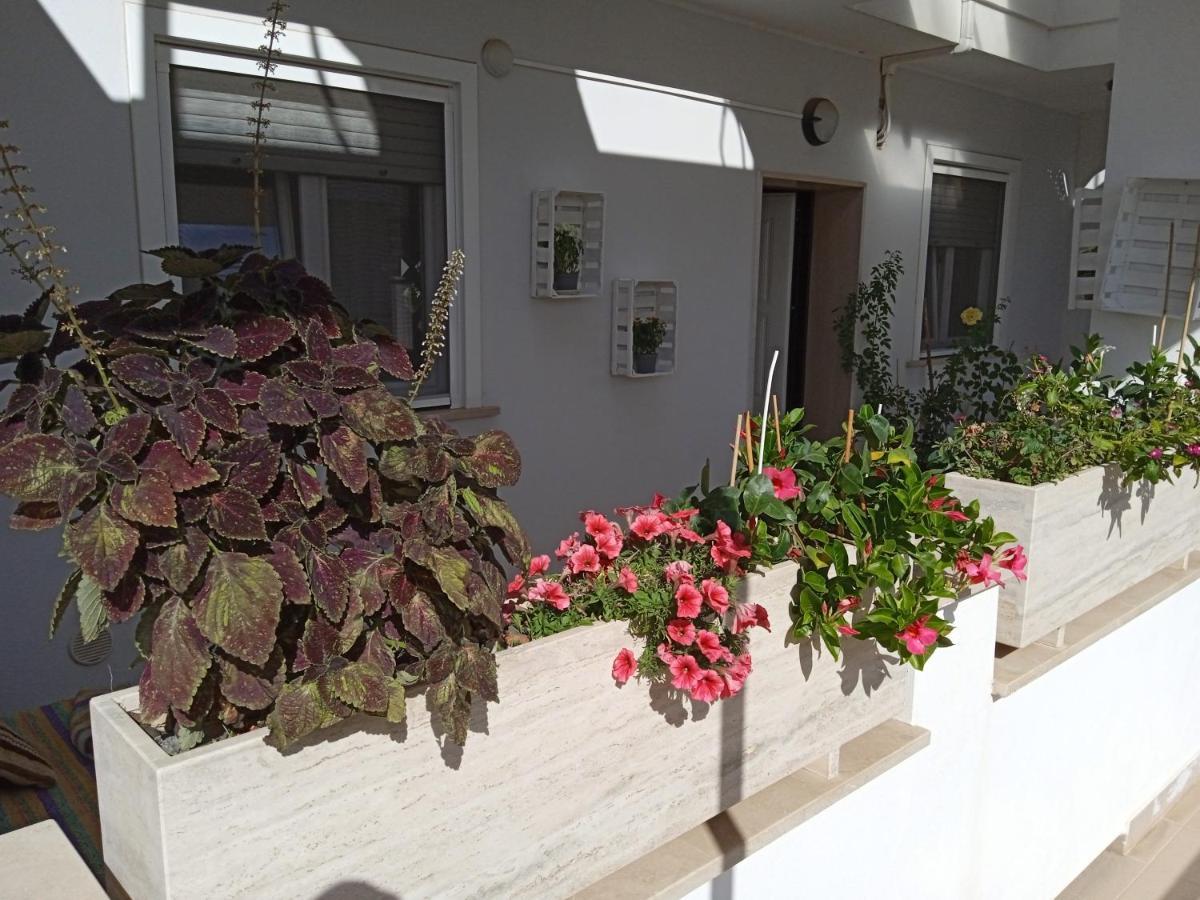 La Casa Di Elena Apartment Sannicandro di Bari ภายนอก รูปภาพ
